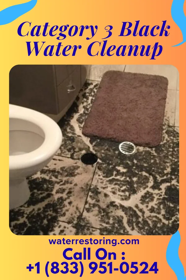Category 3 Black Water Cleanup in Staunton, VA