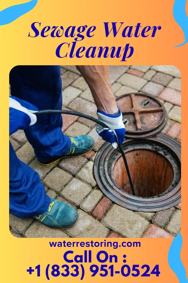 Sewage Water Cleanup in Staunton, VA